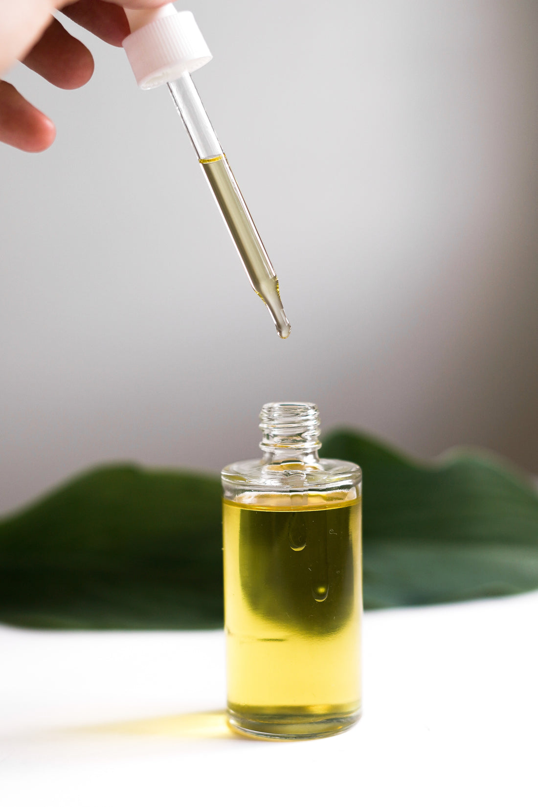 Rosemary Oil for Hair Growth?